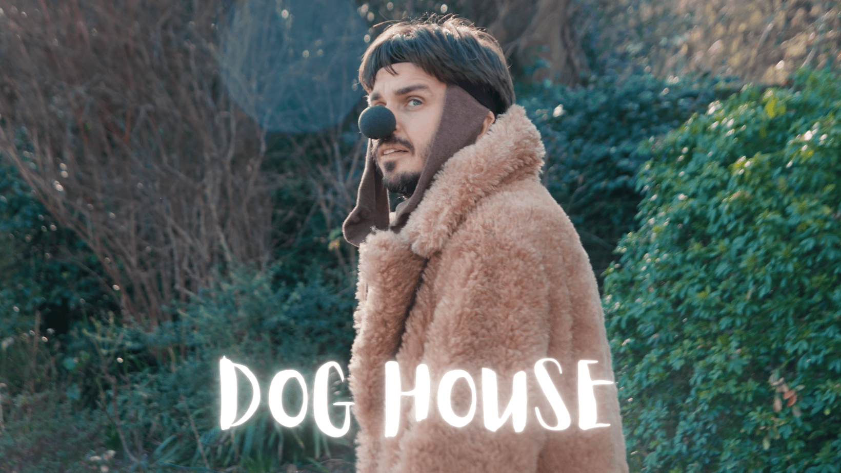 Dog House Trailer