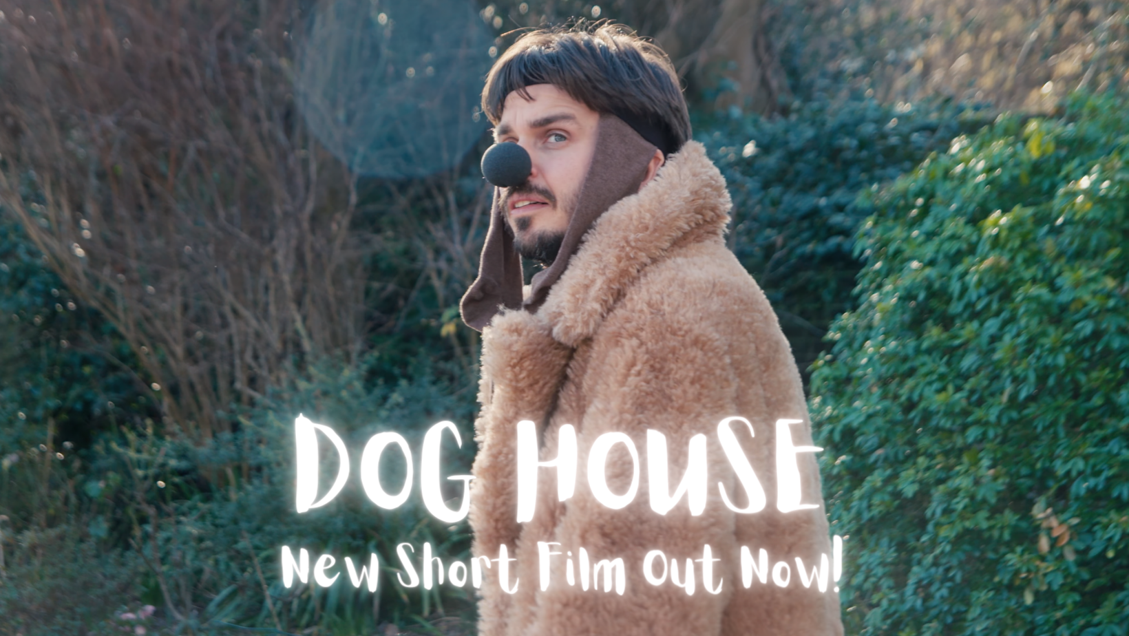 Dog House is Out Today
