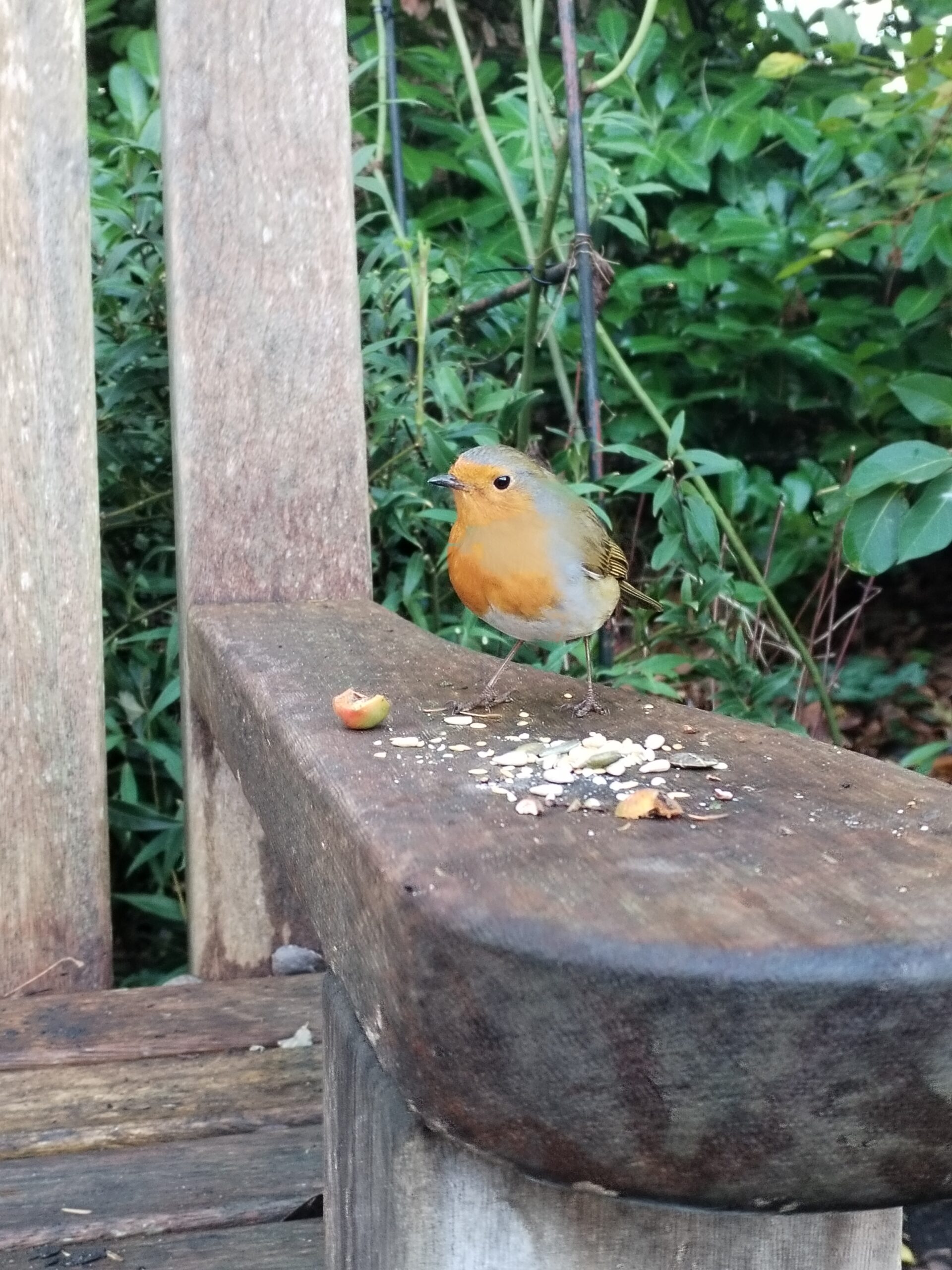 Tape 197: A Christmas Karl