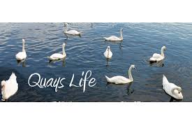 Interview With Quays Life